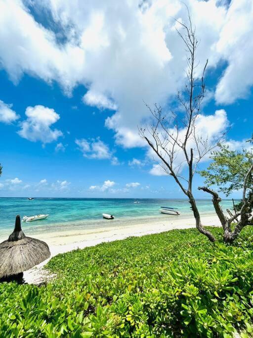Summer Beachfront Apartment 벨마르 외부 사진